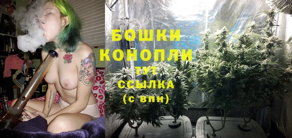 шишки Балабаново
